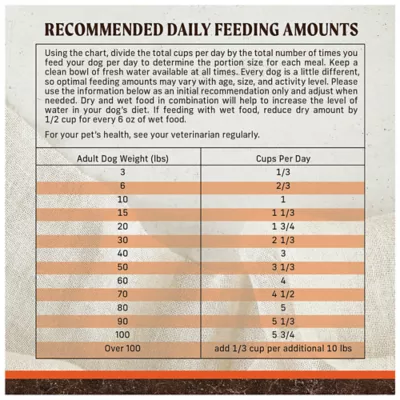 Merrick Grain Free Dry Dog Food - Real Beef and Sweet Potato Recipe - Image 9