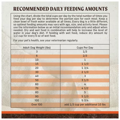 Merrick Grain Free Dry Dog Food - Real Beef and Sweet Potato Recipe - Image 10