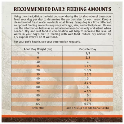 Product Merrick Dry Dog Food - Grain-Free Real Beef and Sweet Potato Recipe