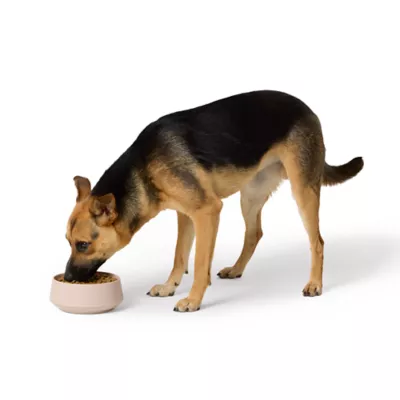 Product Top Paw® Pink Melamine Dog Bowl, 30 oz