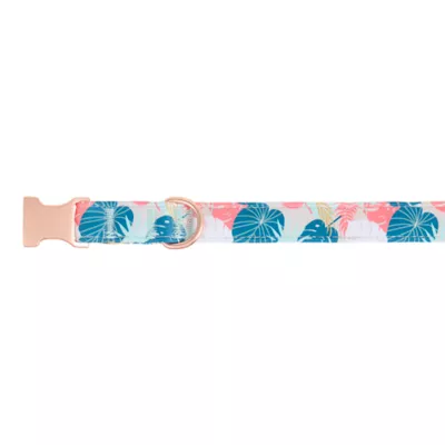 Top Paw® Tropical Leaves Dog Collar - Image 1