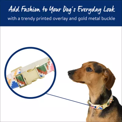 Product Top Paw® Sketch Floral Dog Collar