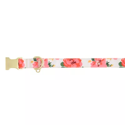 Top Paw® Floral Dog Collar - Image 1