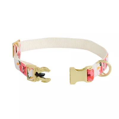 Top Paw® Floral Dog Collar - Image 1