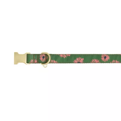 Top Paw® Floral Dog Collar - Image 1