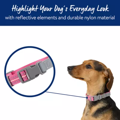 Top Paw® Reflective Dog Collar, Adjustable, Comfortable, Durable, Multiple Sizes, Multiple Colors - Image 2