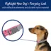 Top Paw® Reflective Dog Collar, Adjustable, Comfortable, Durable, Multiple Sizes, Multiple Colors image thumbnail 2