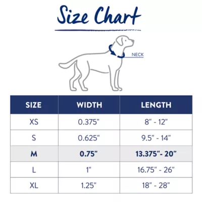 Top Paw® Reflective Dog Collar, Adjustable, Comfortable, Durable, Multiple Sizes, Multiple Colors - Image 4