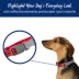 Top Paw® Reflective Dog Collar, Adjustable, Comfortable, Durable, Multiple Sizes, Multiple Colors image thumbnail 2