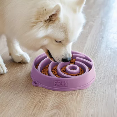 Product Outward Hound Ying Yang Slow Feeder