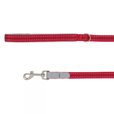 Top Paw® Reflective Dog Leash: 6-ft long - Image 1