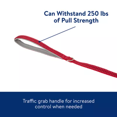 Top Paw® Reflective Dog Leash: 6-ft long - Image 6