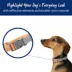 Top Paw® Reflective Dog Collar, Adjustable, Comfortable, Durable, Multiple Sizes, Multiple Colors image thumbnail 2