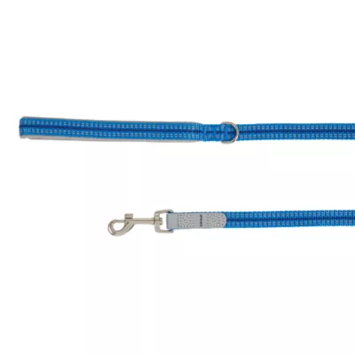 Top Paw® Reflective Dog Leash: 6-ft long - Image 1