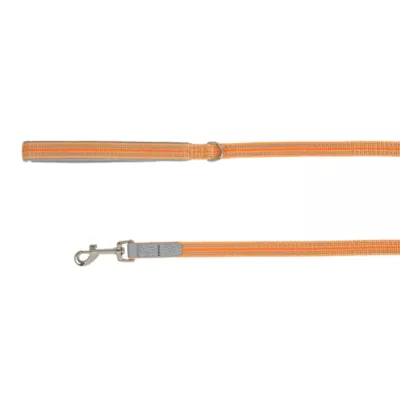 Top Paw® Reflective Dog Leash: 6-ft long - Image 1