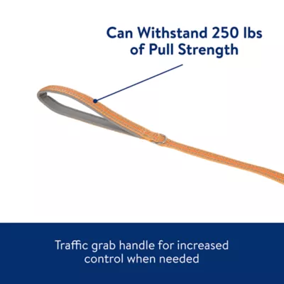 Top Paw® Reflective Dog Leash: 6-ft long - Image 6