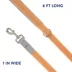 Top Paw® Reflective Dog Leash: 6-ft long image thumbnail 2