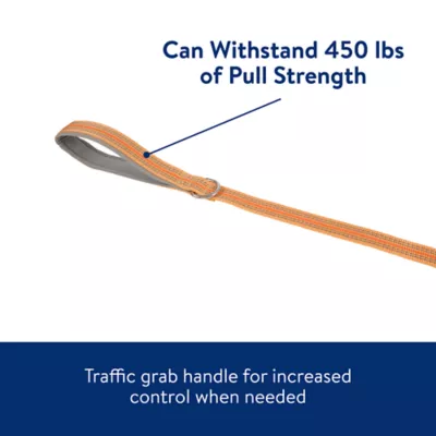 Top Paw® Reflective Dog Leash: 6-ft long - Image 6