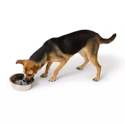 Product Top Paw® Slow Feeder Insert
