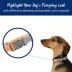 Top Paw® Reflective Dog Collar image thumbnail 2