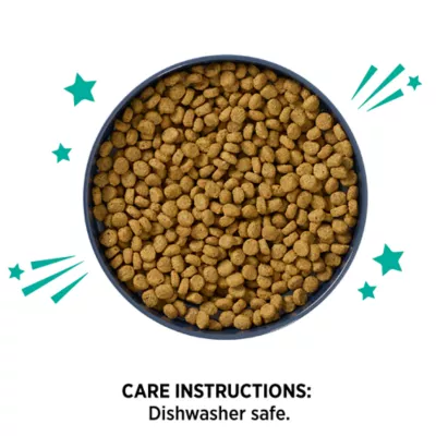 Whisker City® Melamine Elevated Bowl - Image 3