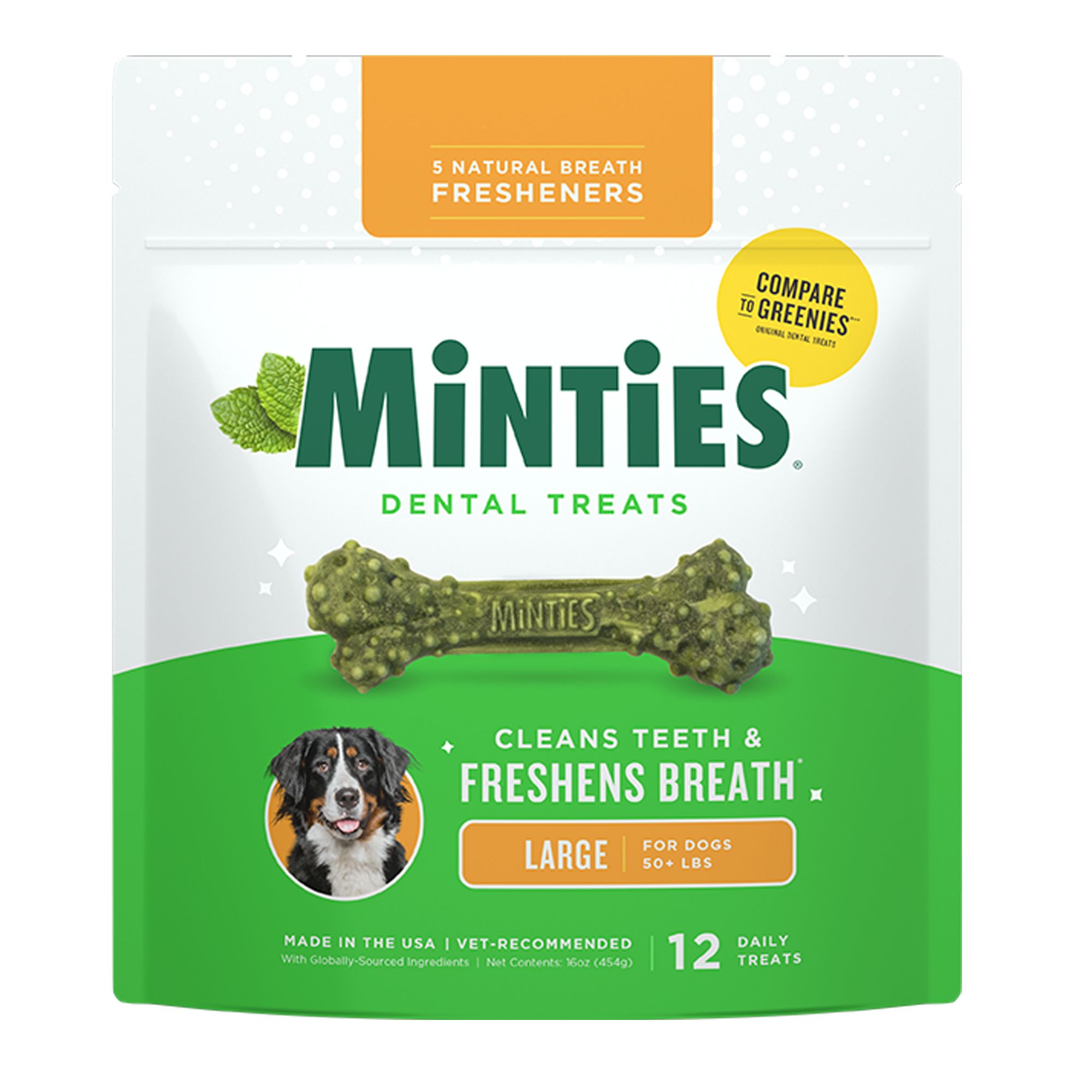 Minties Dental Bones Dog Treats 16 OZ