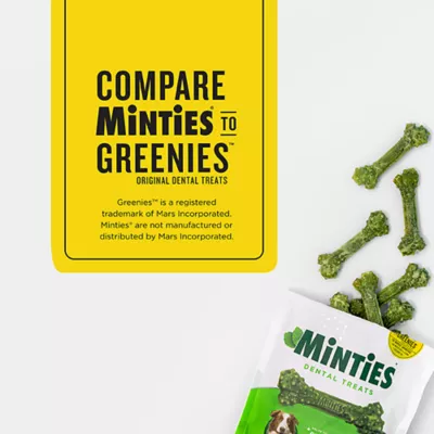 Product Minties Dental Bones Dog Treats 16 OZ