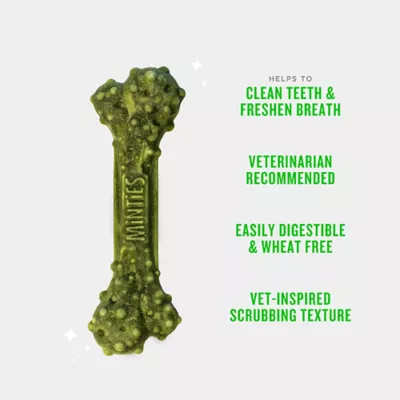 Product Minties Dental Bones Dog Treats 16 OZ