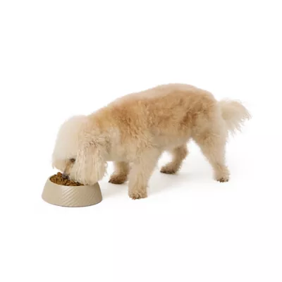 Top Paw® Textured Melamine Dog Bowl - Image 6