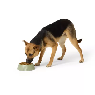 Top Paw® Textured Melamine Dog Bowl - Image 6