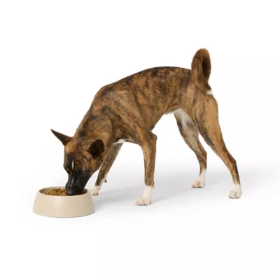 Top Paw® Textured Melamine Dog Bowl - Image 6