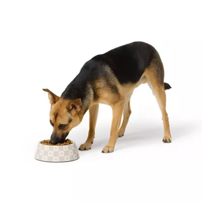 Product Top Paw® Checkered Melamine Dog Bowl, 24 oz