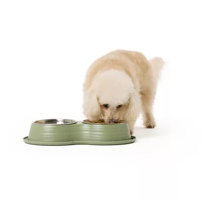 Product Top Paw® Green Melamine & Stainless Steel Double Dog Bowl, 60 oz