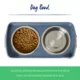 Product Top Paw® Blue Elevated Feeder