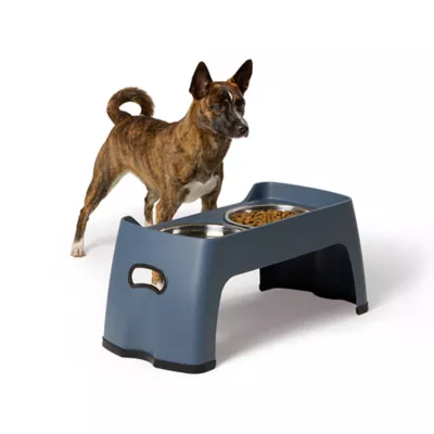 Product Top Paw® Blue Elevated Feeder