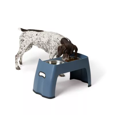 Product Top Paw® Blue Elevated Feeder