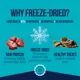 Product Stewart Freeze Dried 3 Flavors in 1 Tub 9 OZ