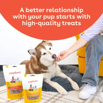 Product Pupford Chicken and Sweet Potato Crunchies Dog Treats 5 OZ
