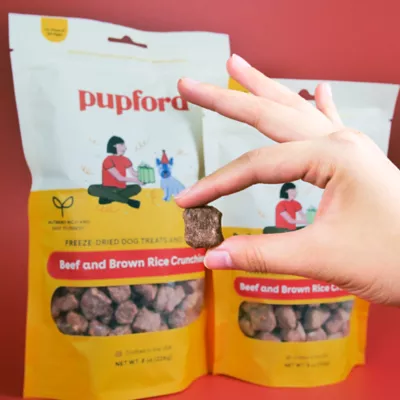 Product Pupford Beef and Brown Rice Crunchies Dog Treats 5 OZ