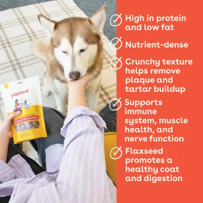 Product Pupford Beef and Brown Rice Crunchies Dog Treats 5 OZ