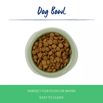 Top Paw® Green Plastic Dog Bowl - Image 2