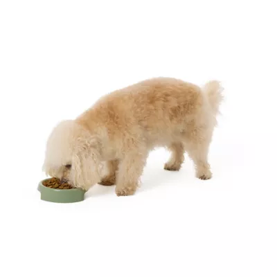 Top Paw® Green Plastic Dog Bowl - Image 6