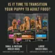 Product Purina Pro Plan Dry Puppy Food Sensitive Skin & Stomach - Lamb & Rice Formula
