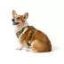 Top Paw® Green Floral Harness image thumbnail 2