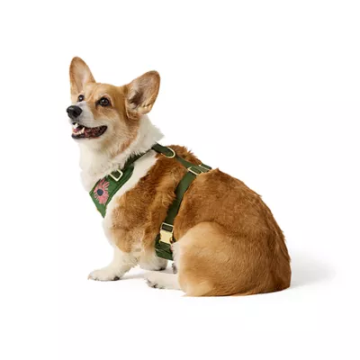 Top Paw® Green Floral Harness - Image 2