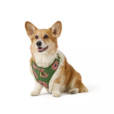 Top Paw® Green Floral Harness - Image 1