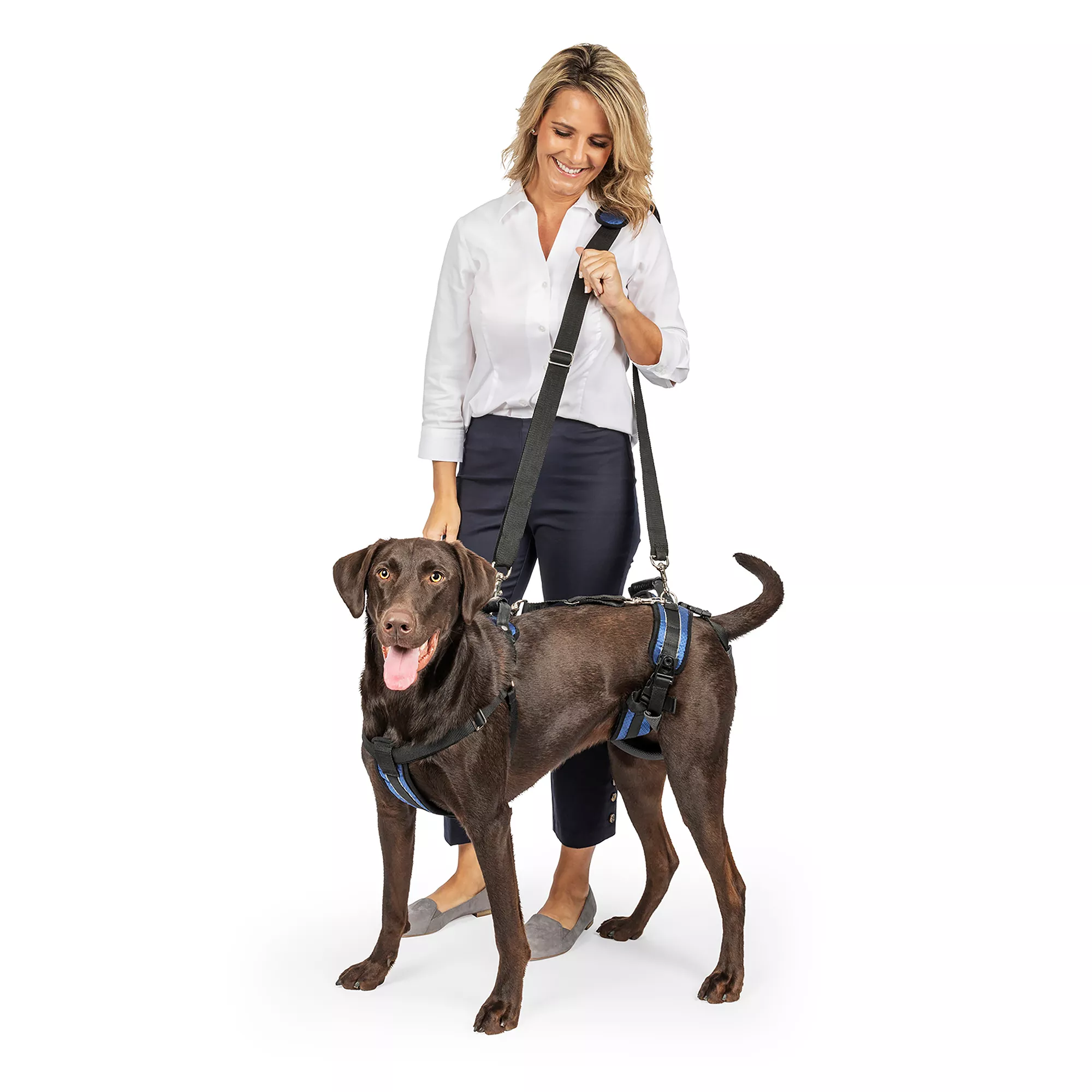 PetSafe® CareLift &trade; Full Body Nylon Support Dog Harness