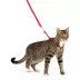 PetSafe® Come With Me Kitty, Cat Harness, and Cat Bungee Leash, Multiple Sizes & Colors image thumbnail 1