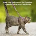 PetSafe® Come With Me Kitty, Cat Harness, and Cat Bungee Leash, Multiple Sizes & Colors image thumbnail 2