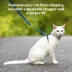 PetSafe® Come With Me Kitty, Cat Harness, and Cat Bungee Leash, Multiple Sizes & Colors image thumbnail 3